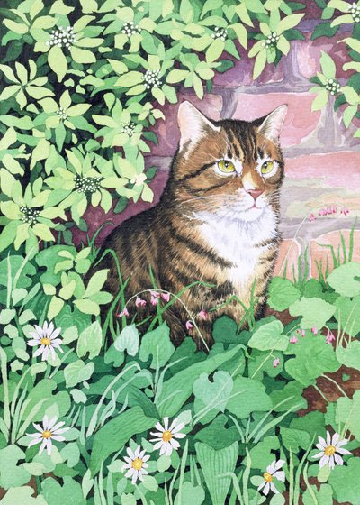El gato de Jackie (diseño de jardín) de Suzanne Bailey